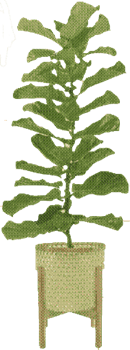 중형 화분. 기분 전환에 좋은 콘텐츠 모아두는 곳.